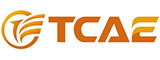 TCAE